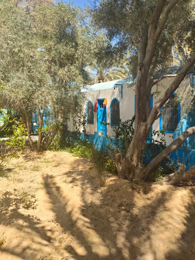 Panta Lodge Siwa بنتا لودج سيوة シワ・オアシス エクステリア 写真