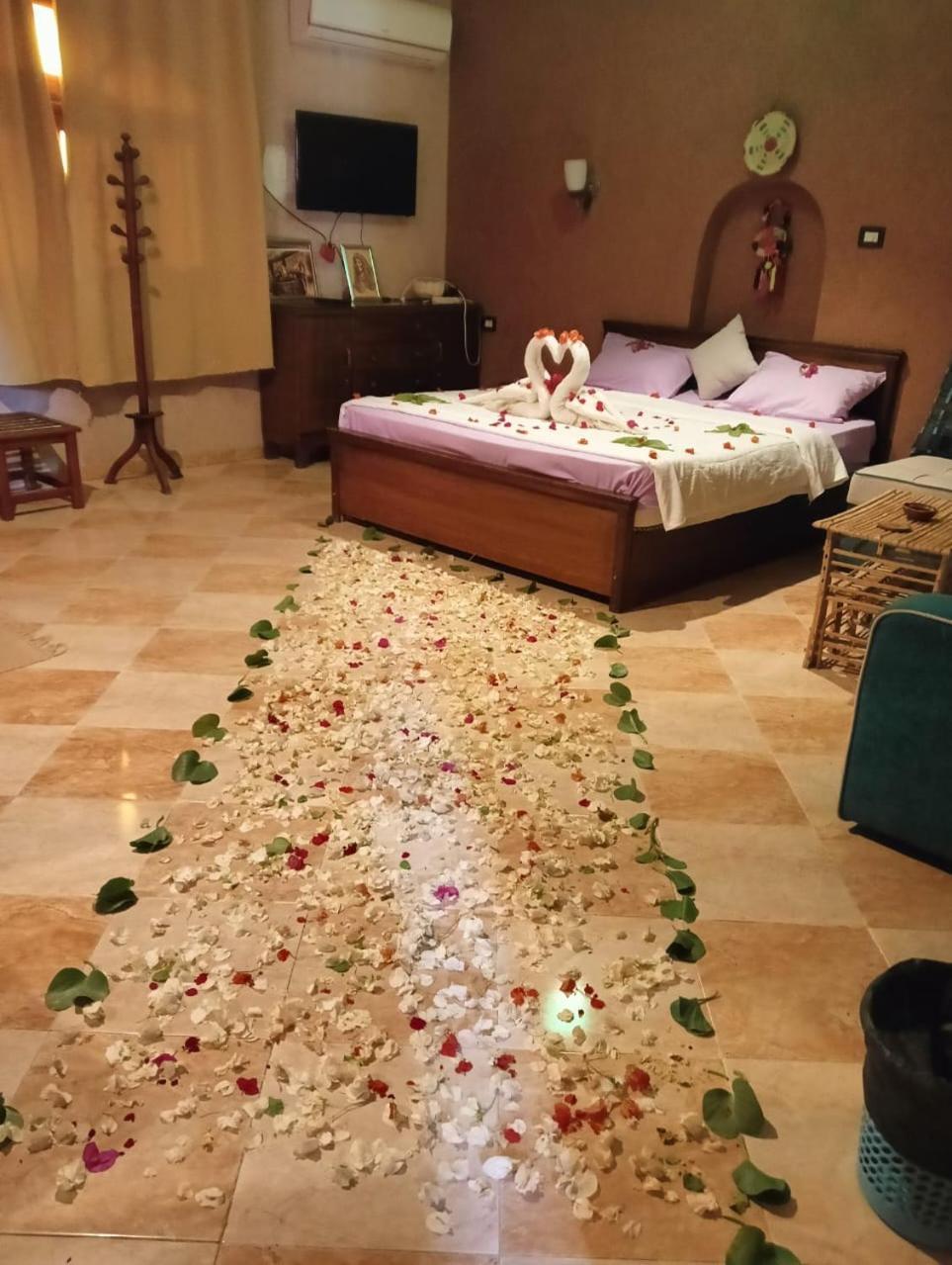 Panta Lodge Siwa بنتا لودج سيوة シワ・オアシス エクステリア 写真