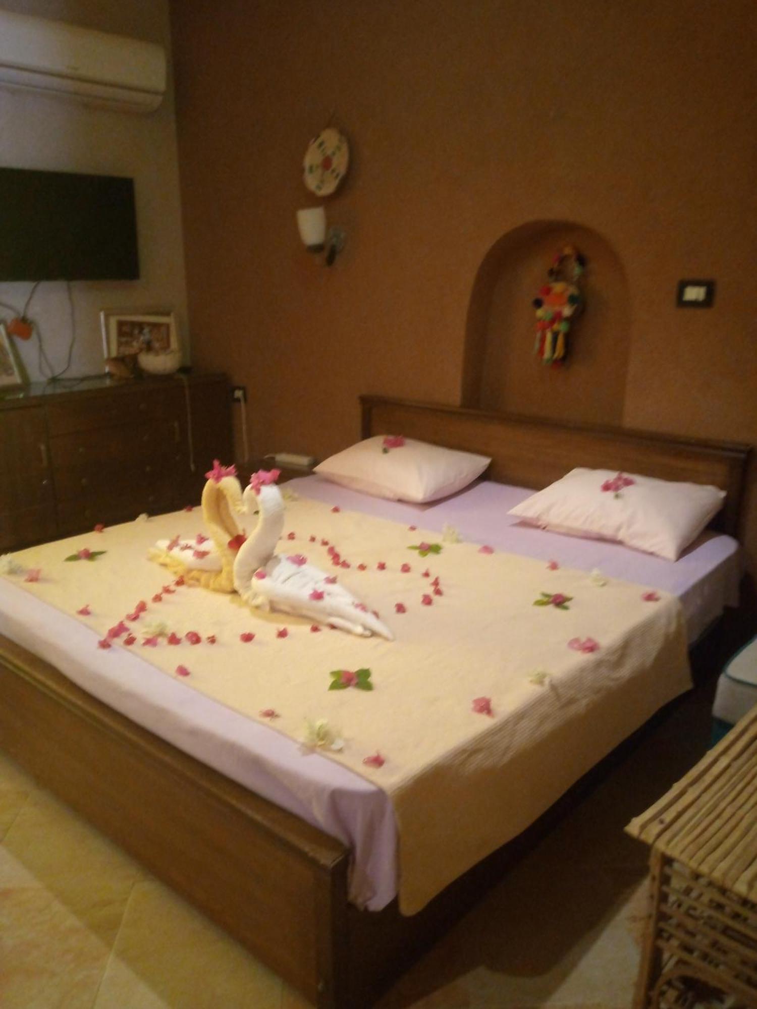 Panta Lodge Siwa بنتا لودج سيوة シワ・オアシス エクステリア 写真