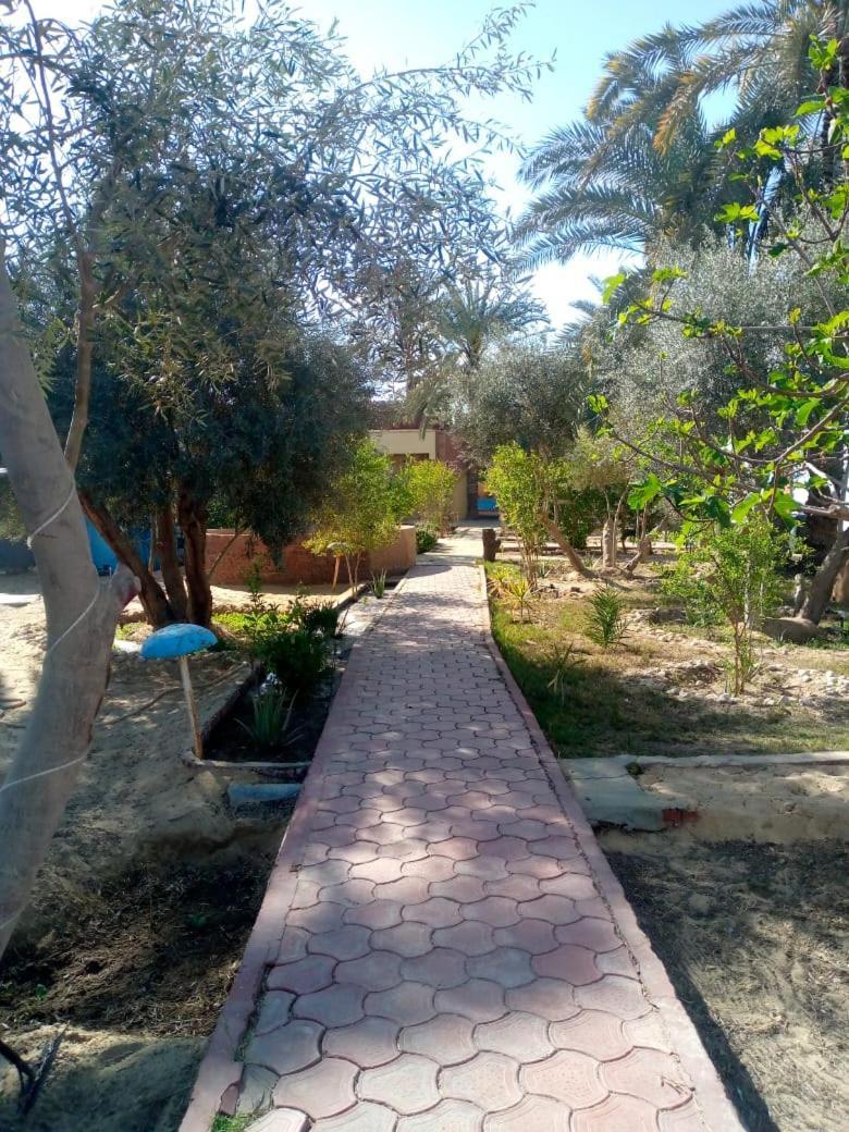 Panta Lodge Siwa بنتا لودج سيوة シワ・オアシス エクステリア 写真