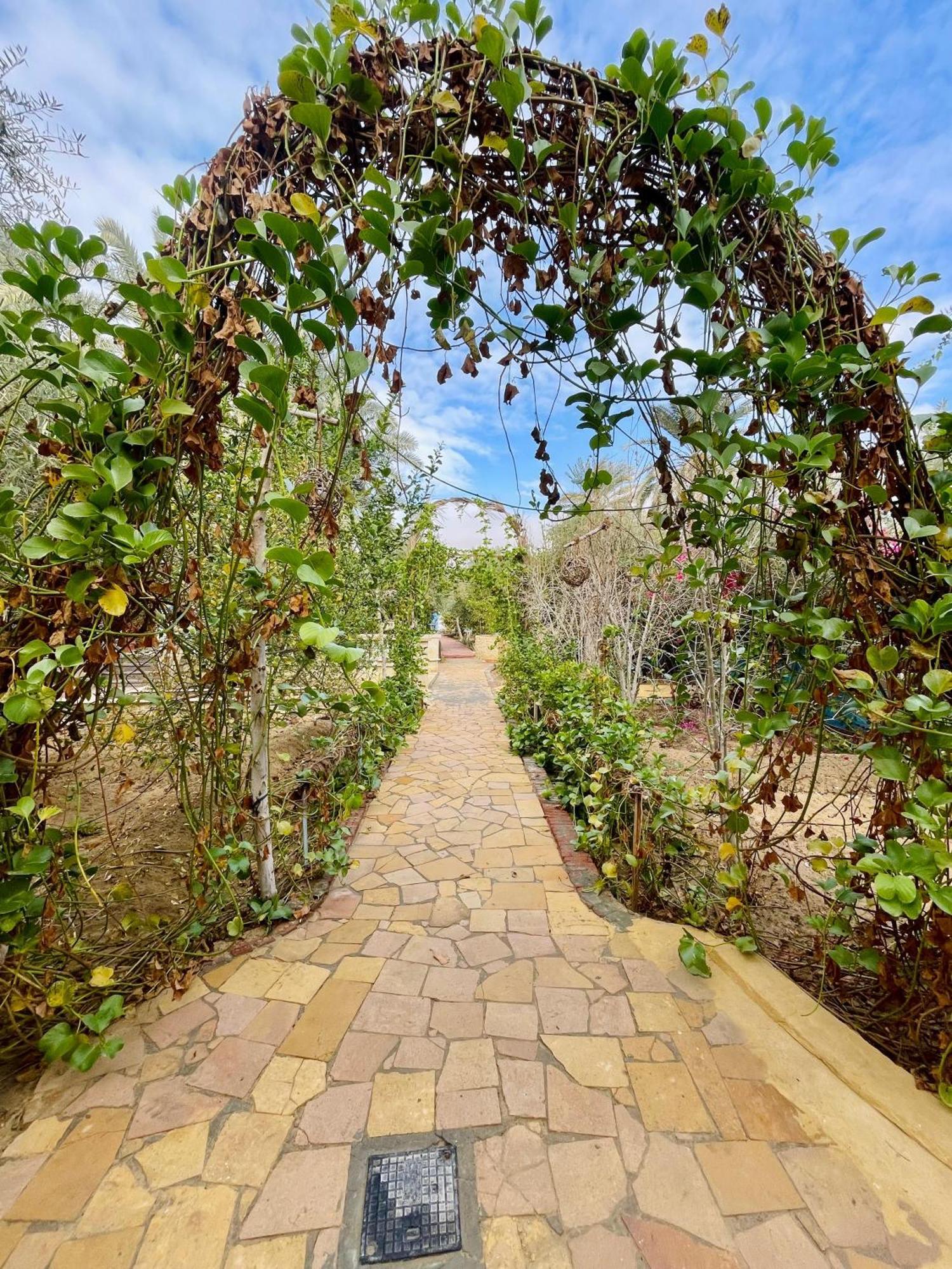 Panta Lodge Siwa بنتا لودج سيوة シワ・オアシス エクステリア 写真